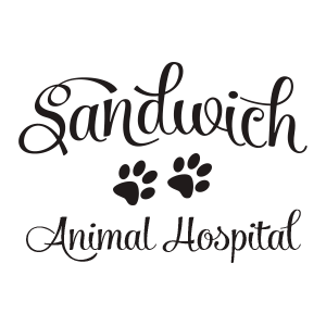 Sandwich Animal Hospital Home